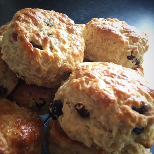 Sultana Scones